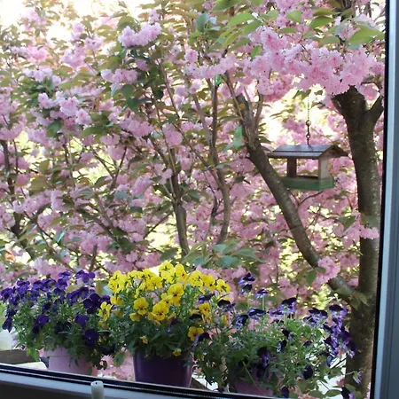 Homestay Jurca Postojna