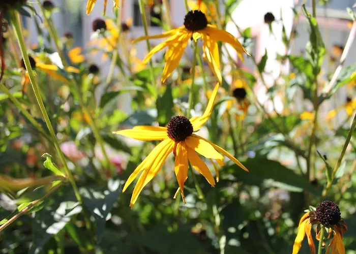 Jurca Nastanitev v družini *