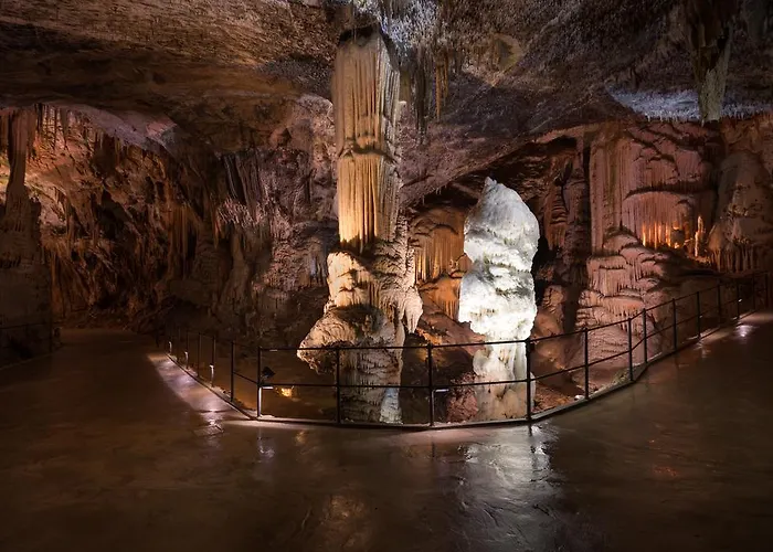 Alloggio in famiglia Jurca *