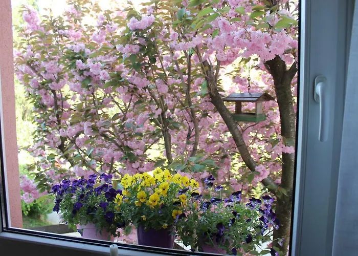 Alloggio in famiglia Jurca Postumia